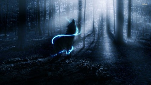 Wolf-wallpaper-wolves-32901744-1920-1080