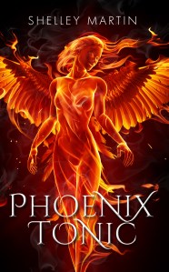 PhoenixeBook